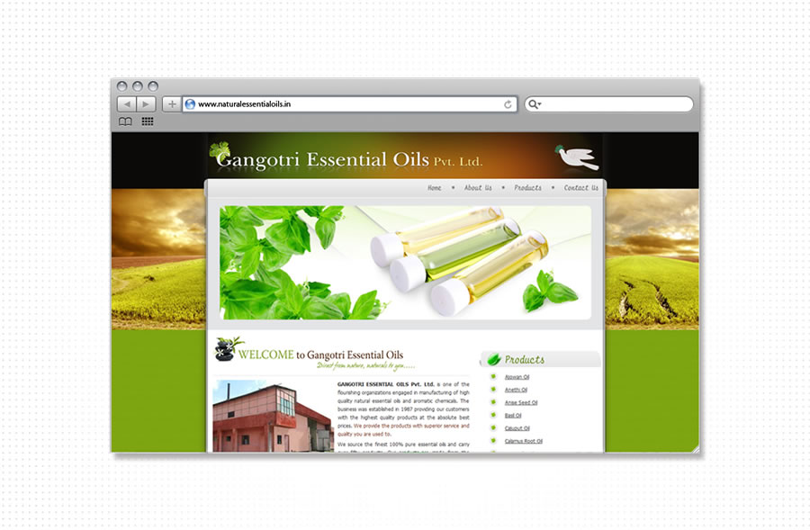 portfolio_web_work_browser_gangotri_essential_oils